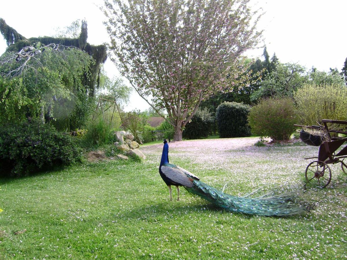 La Ferme Du Bourg Bed & Breakfast Eraines Exterior photo